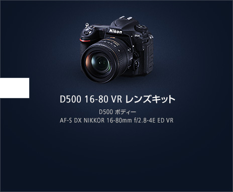 D500 16-80 VR レンズキット D500 ボディー AF-S DX NIKKOR 16-80mm f/2.8-4E ED VR