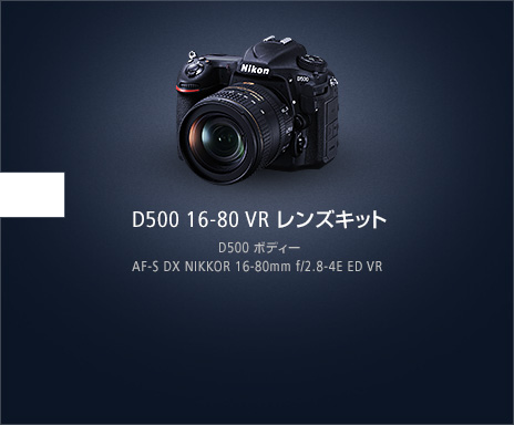 D500 16-80 VR レンズキット D500 ボディー AF-S DX NIKKOR 16-80mm f/2.8-4E ED VR
