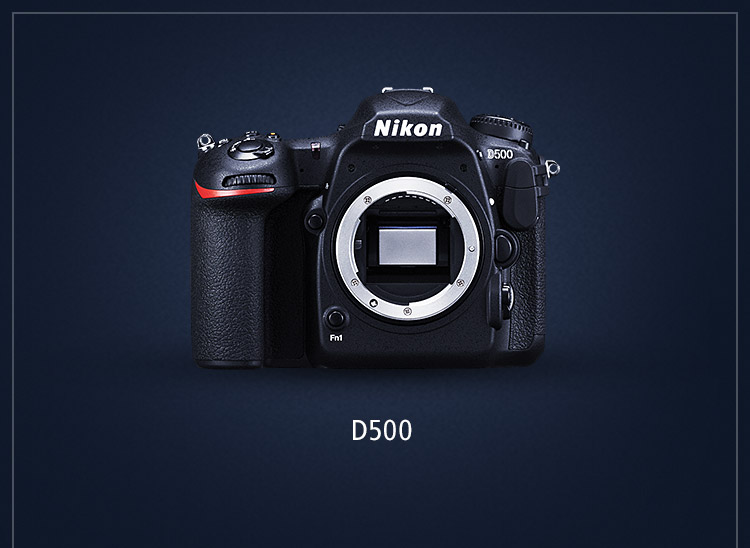 すべてを凝縮した、渾身のDX。D500 ニコンダイレクト限定キャンペーン | NikonDirect - ニコンダイレクト