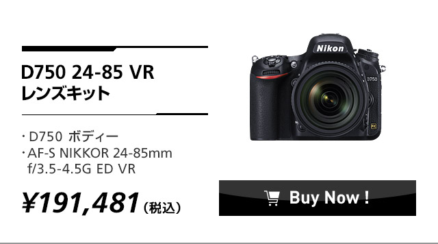 ニコンFXフォーマットモデルの新境地。D750 ニコンダイレクト限定キャンペーン | NikonDirect - ニコンダイレクト