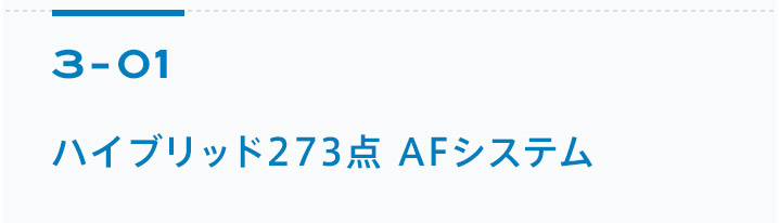 3-01 ハイブリッド273点 AFシステム