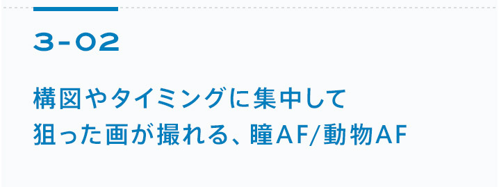 3-02 構図やタイミングに集中して狙った画が撮れる、瞳AF/動物AF