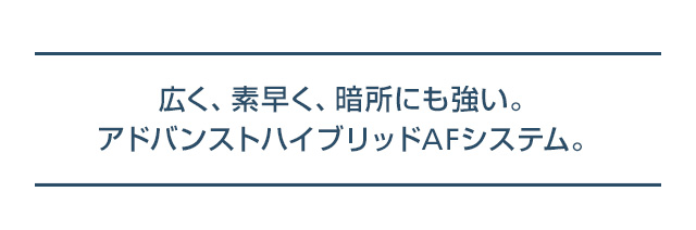 広く、素早く、暗所にも強い。アドバンストハイブリッドAFシステム。